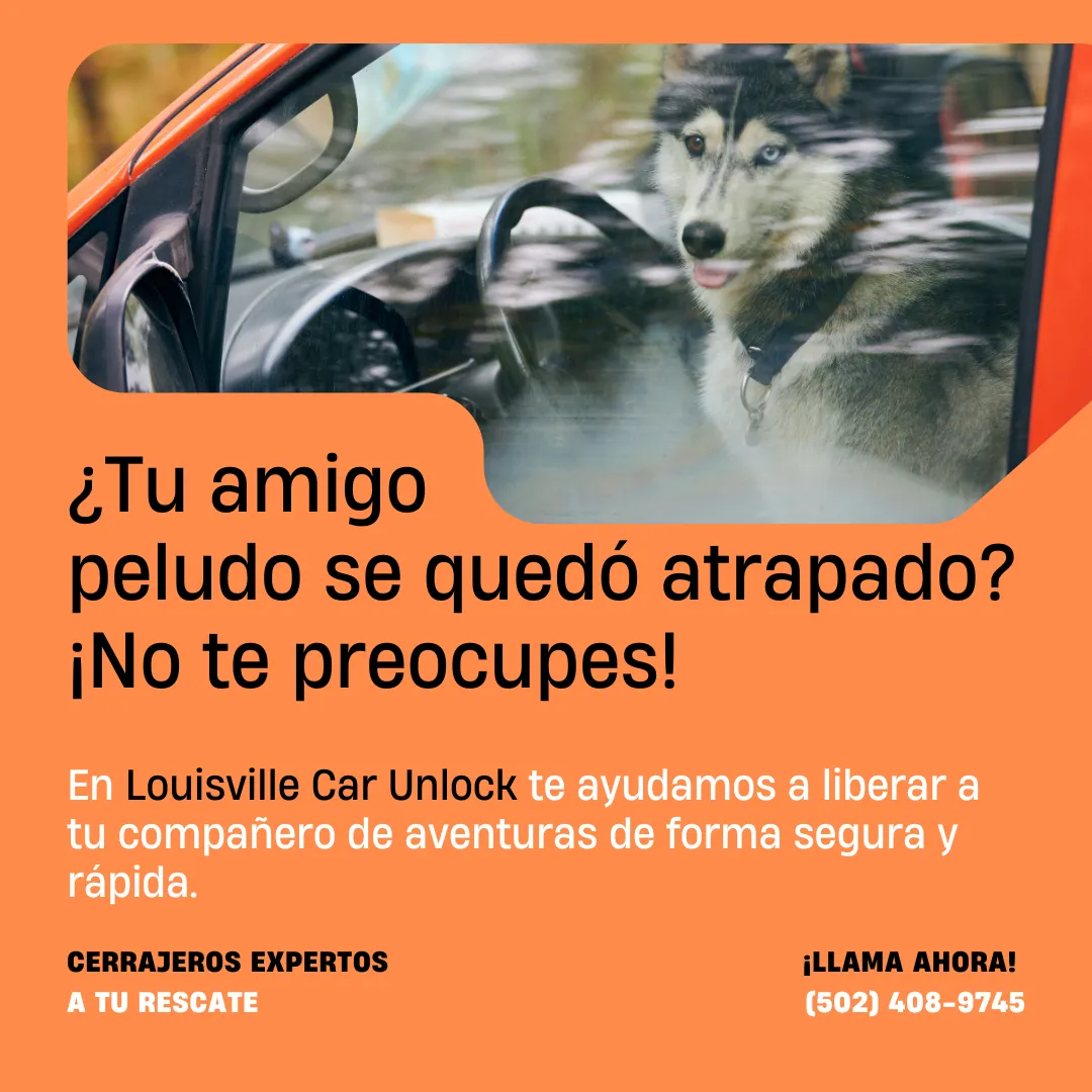 Un perro husky encerrado dentro de un coche, con el texto promocional de Louisville Car Unlock ofreciendo servicios de cerrajería para rescate de mascotas.